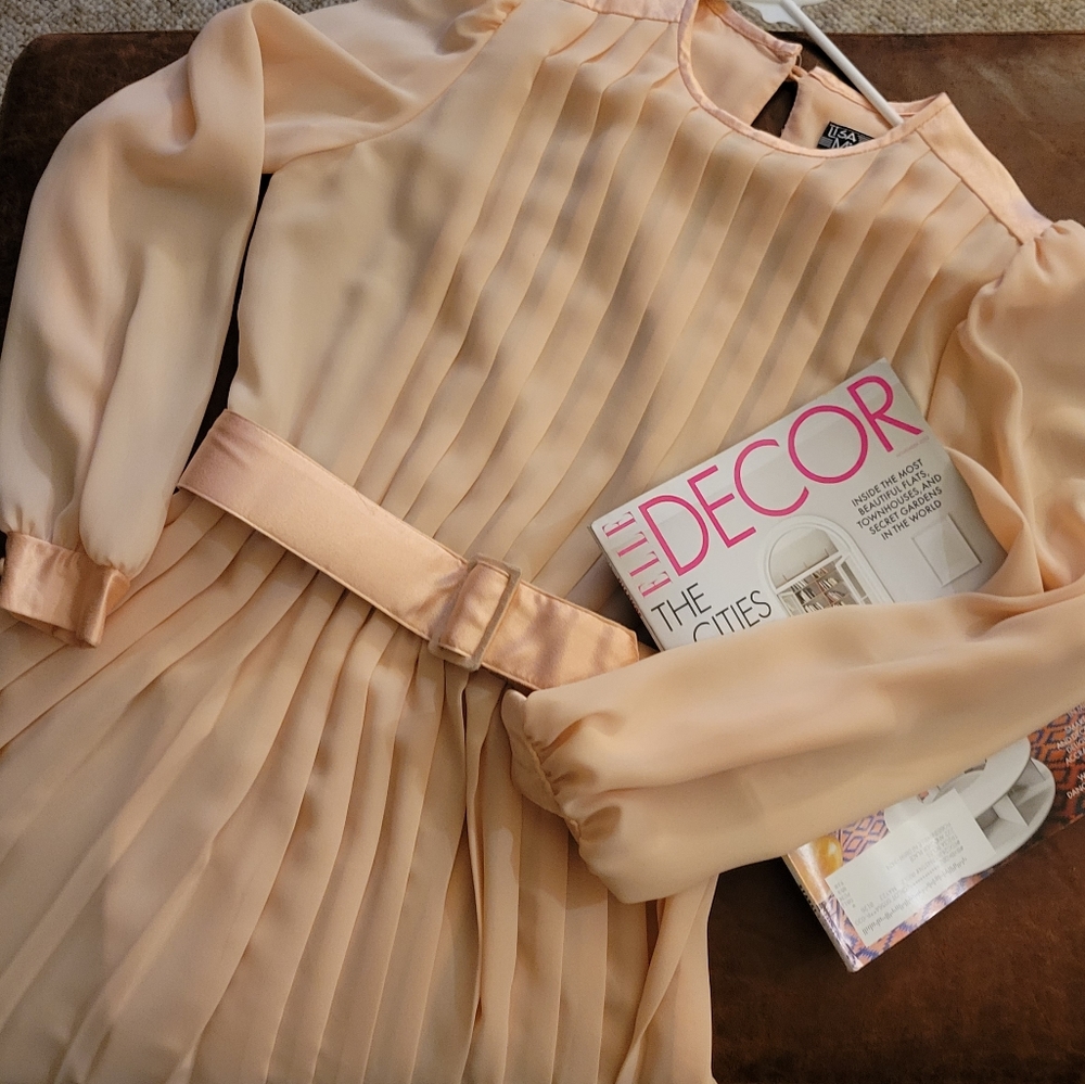 Vintage Peach Poly Pleated Sheer Dress